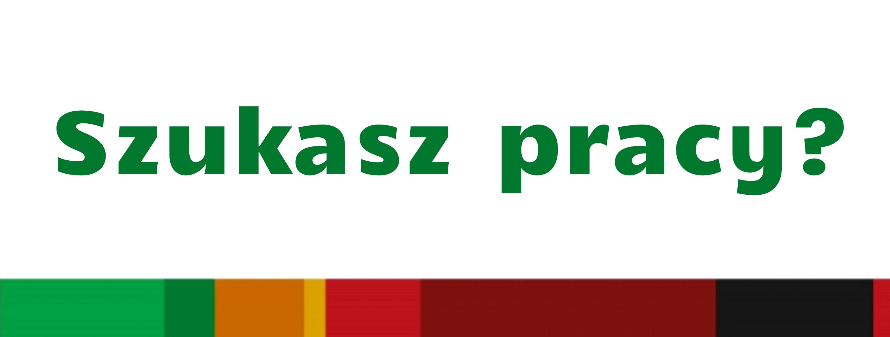 chata_polska_ad2