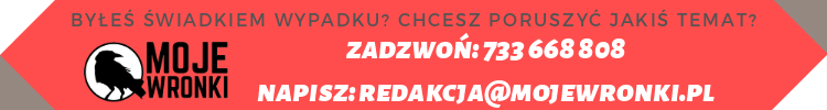 Moje Wronki - Mój Fyrtel - studio kreatywne